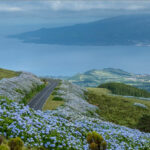 Most Scenic Roads in the Azores