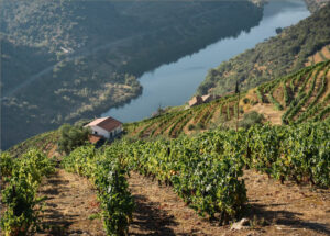 Douro