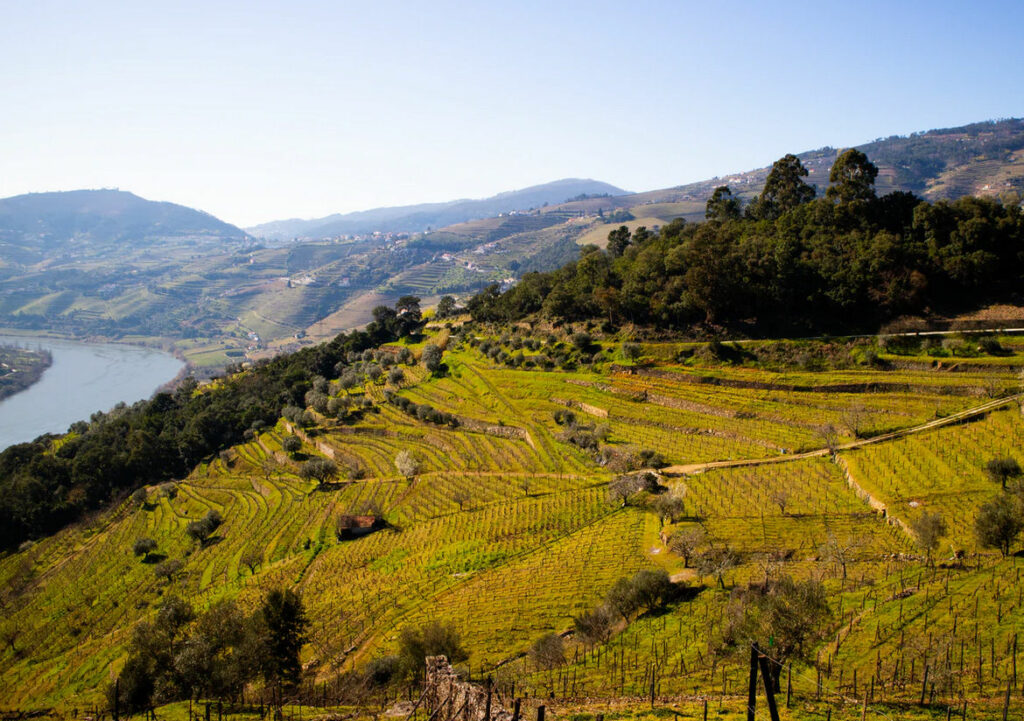 The Best Vineyards and Wineries to visit in Portugal Autoportugal.co.uk